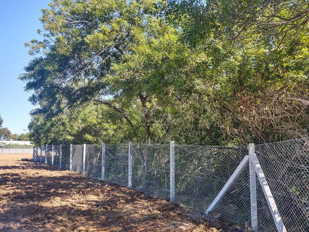 Terreno, 132 m² - Foto 6