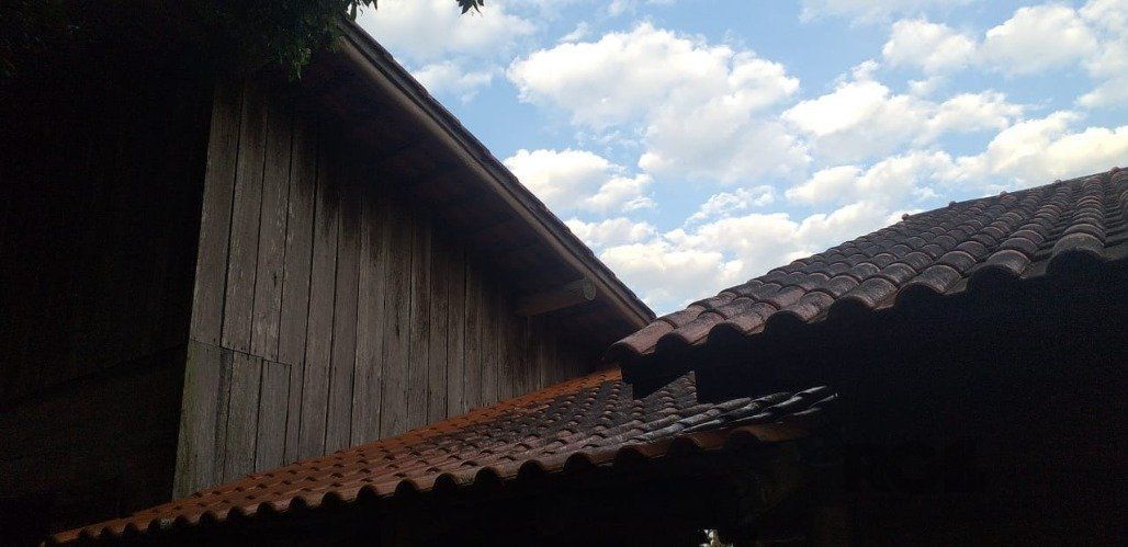 Chácara, 3 quartos, 2400 m² - Foto 50