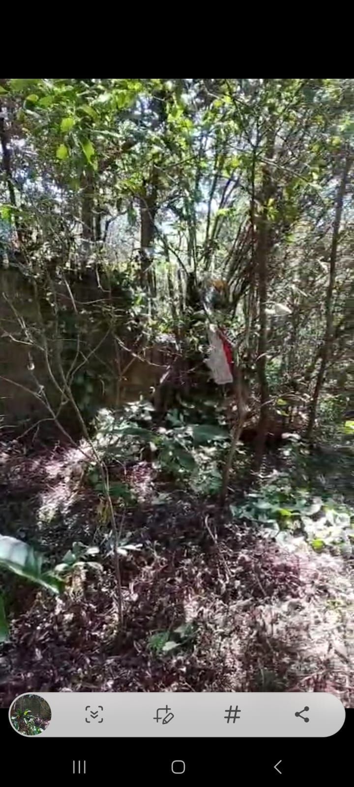 Fazenda à venda, 1m² - Foto 3