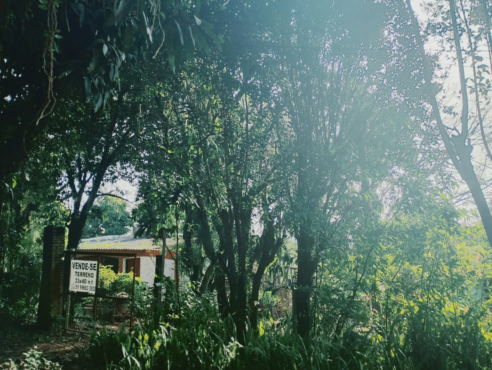 Terreno, à venda, Campo Novo - Porto Alegre — foto 2