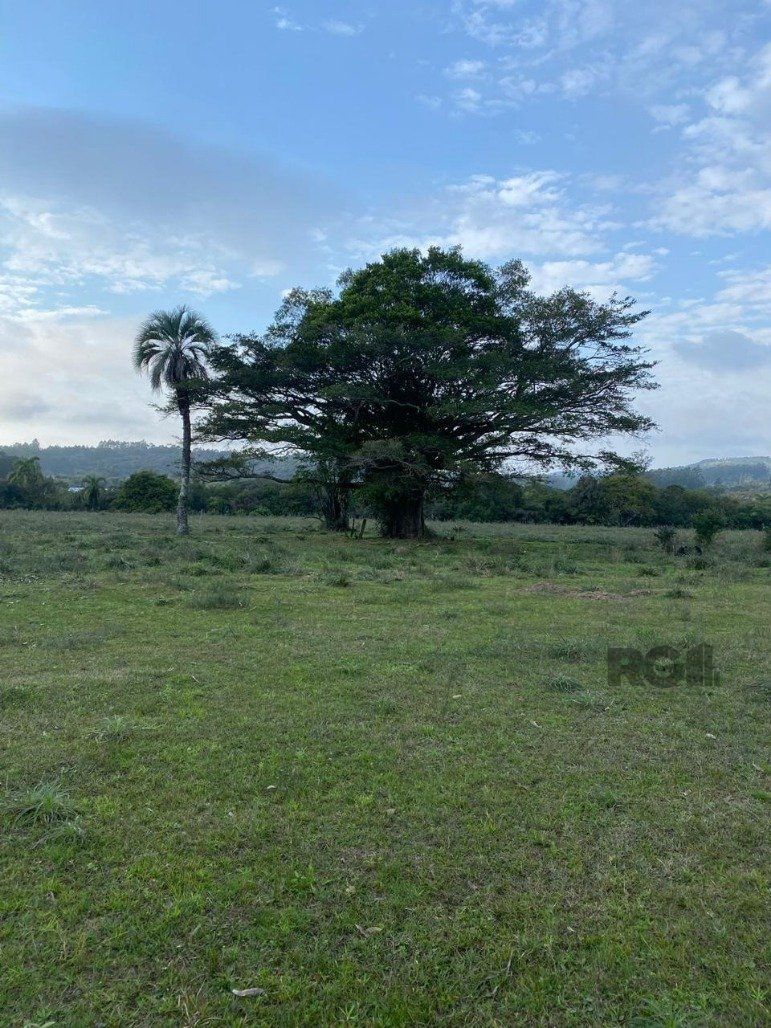 Terreno à venda, 70001m² - Foto 5