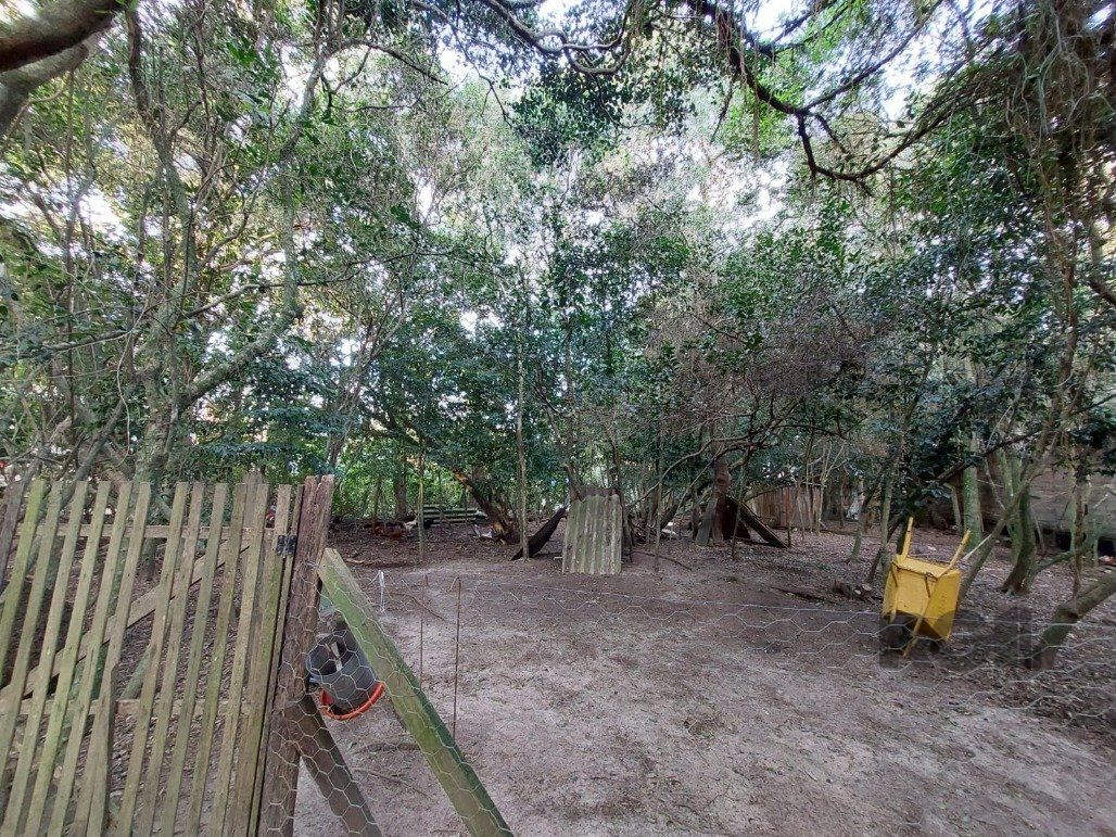 Sítio à venda com 1 quarto, 95m² - Foto 8