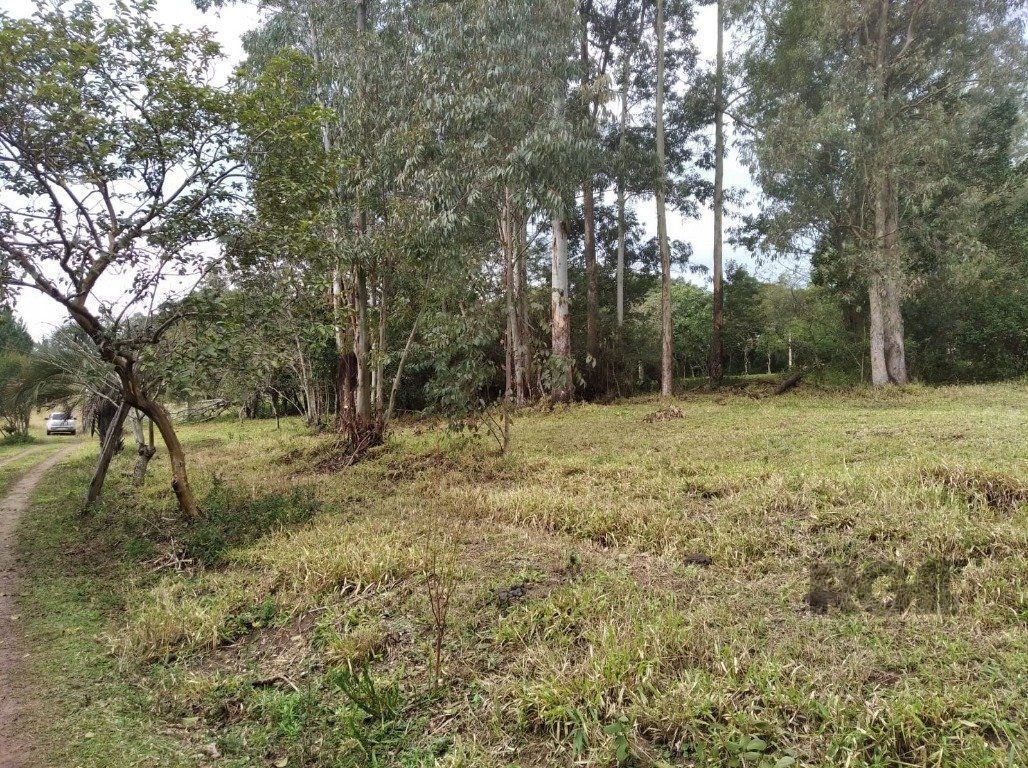 Terreno à venda, 2500m² - Foto 6