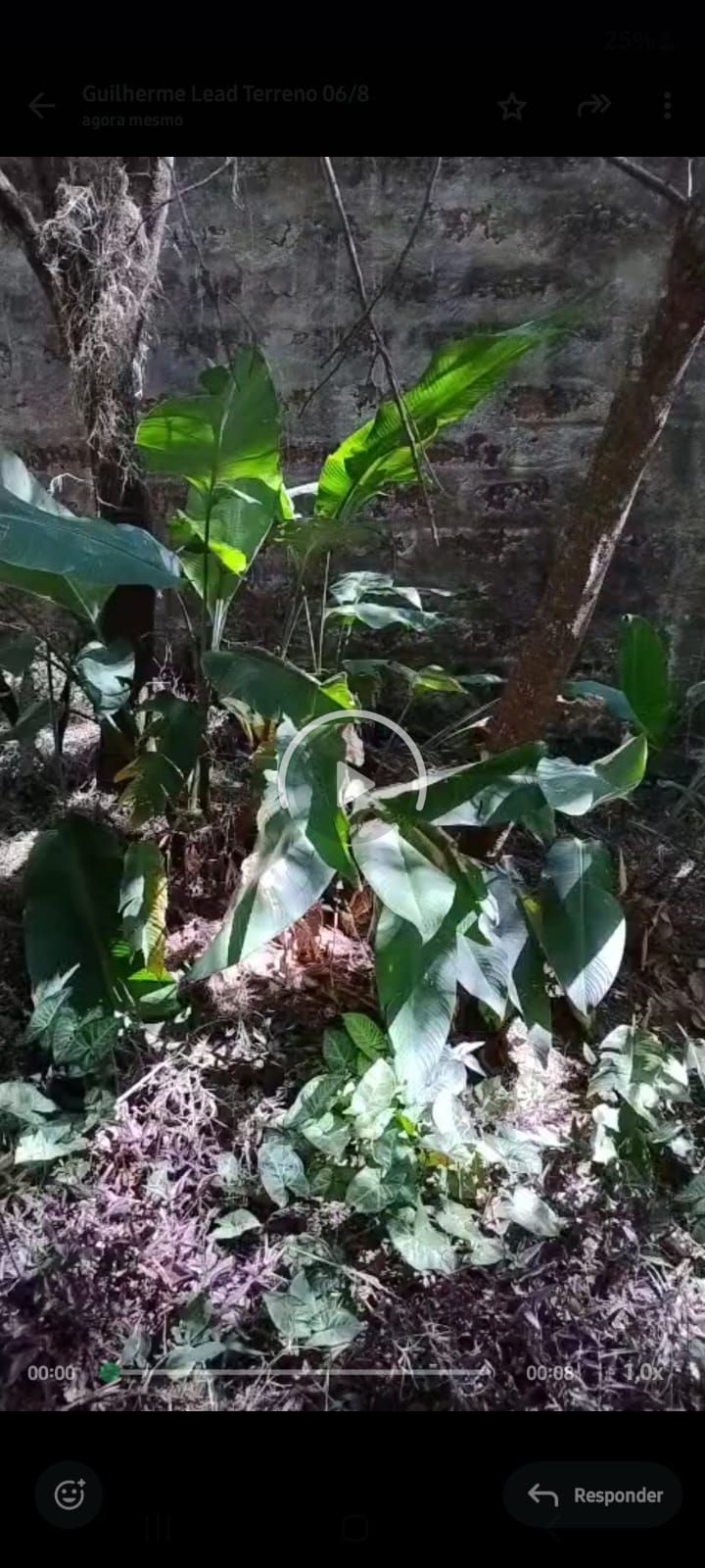 Fazenda à venda, 1m² - Foto 2