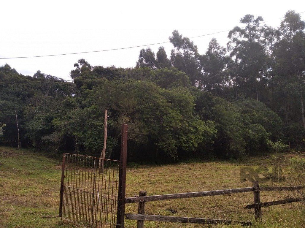 Terreno à venda, 2500m² - Foto 5