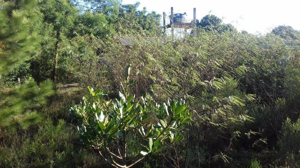 Sítio no bairro Águas Claras
