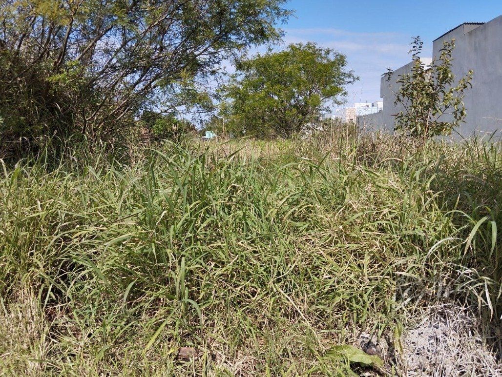 Terreno, 125 m² - Foto 7