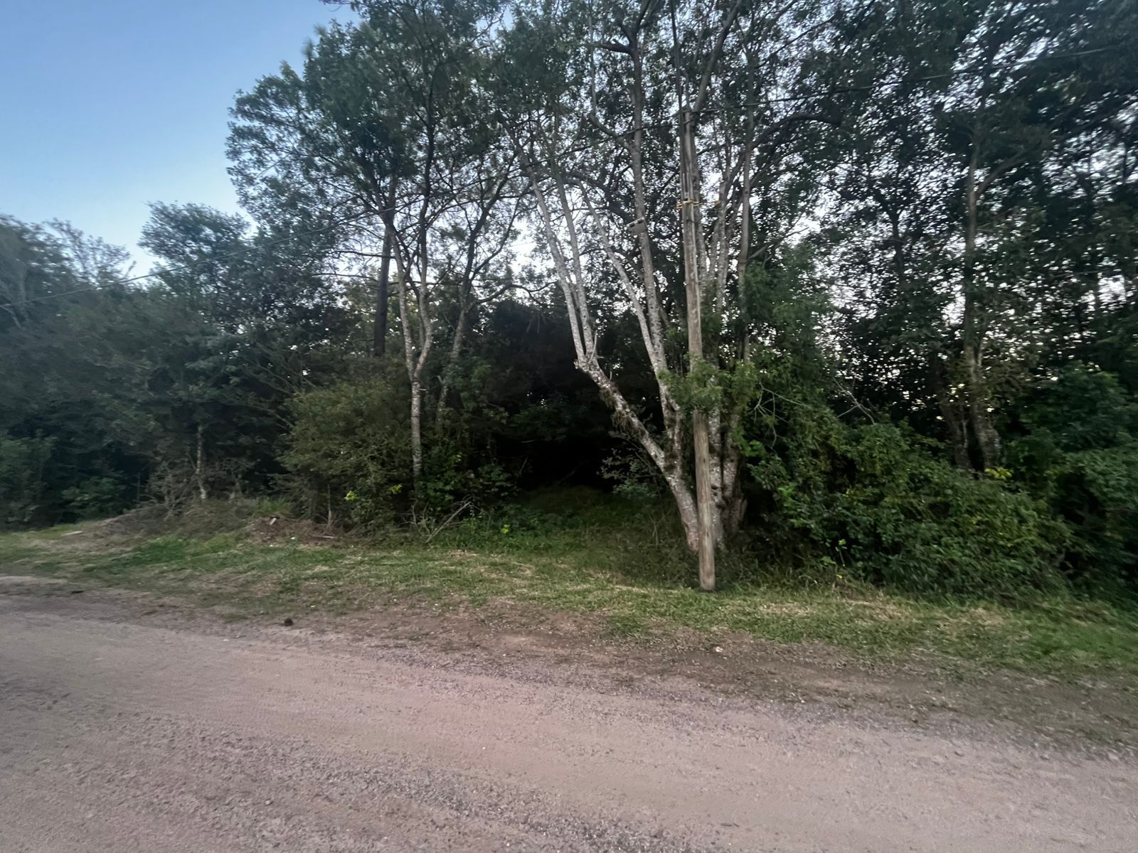 Terreno à venda, 9999m² - Foto 5