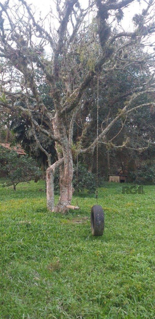 Chácara, 3 quartos, 2400 m² - Foto 20