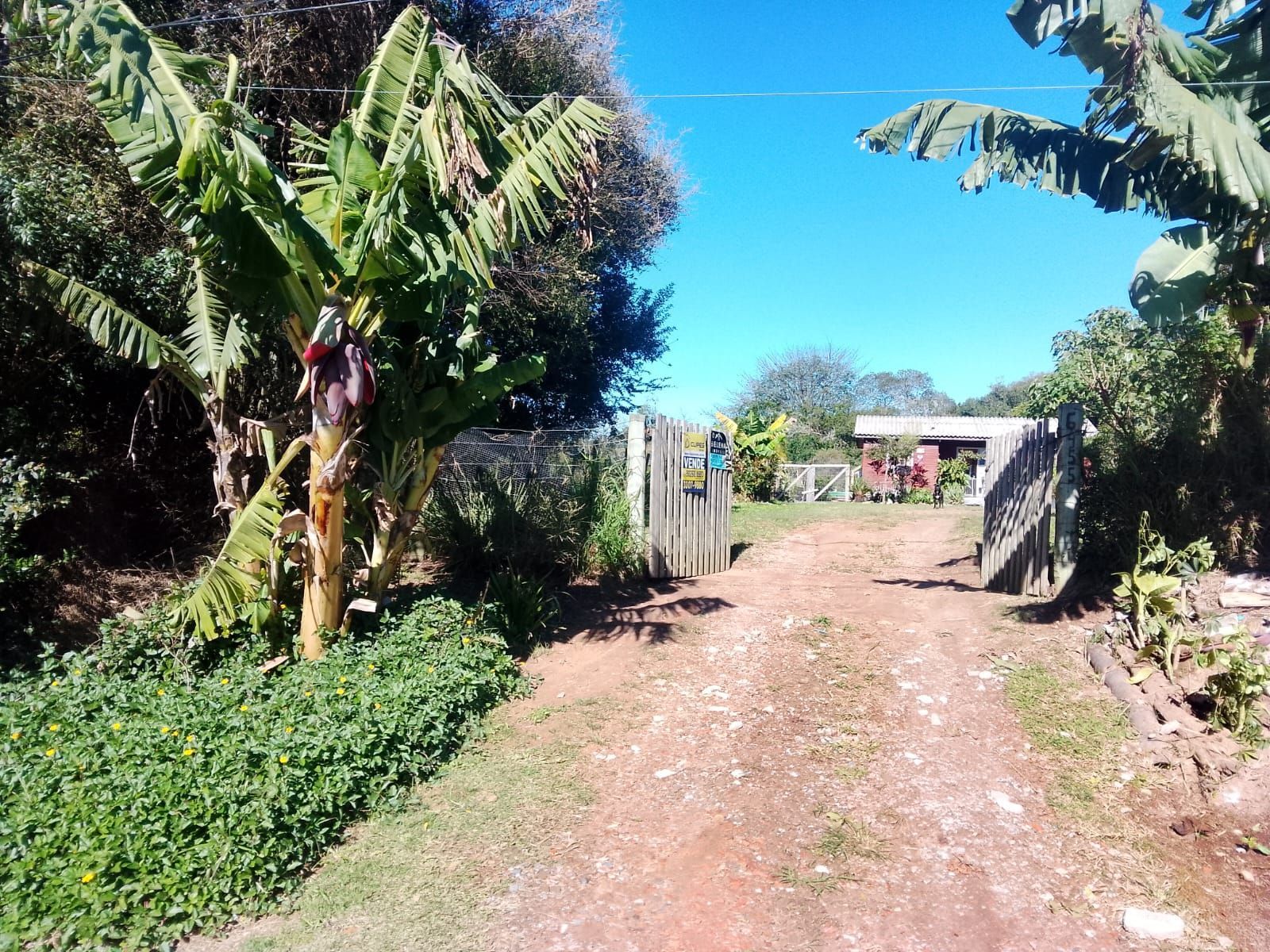 Casa à venda com 2 quartos, 40m² - Foto 8