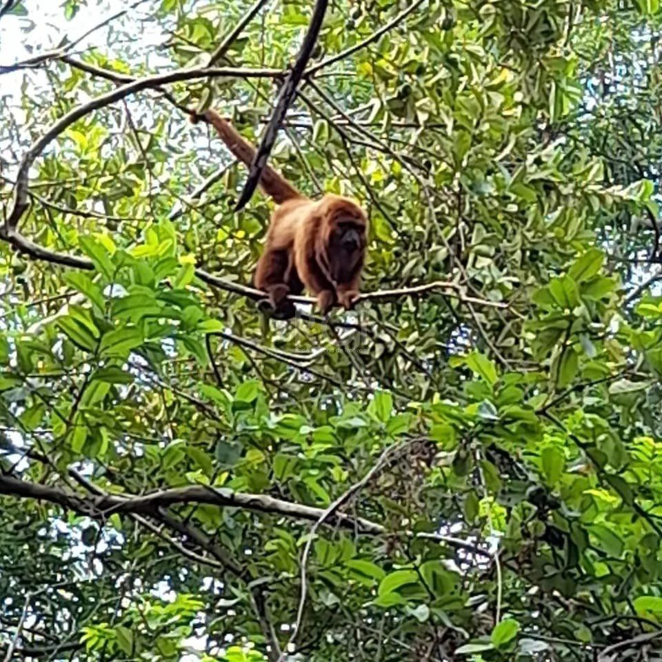 Terreno, 1440 m² - Foto 10