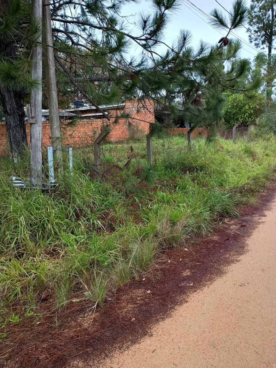 Terreno à venda, 207m² - Foto 2