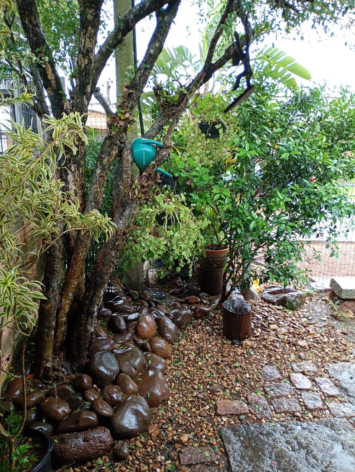 Casa, 3 quartos, à venda, 160 m², Restinga - Porto Alegre — foto 4