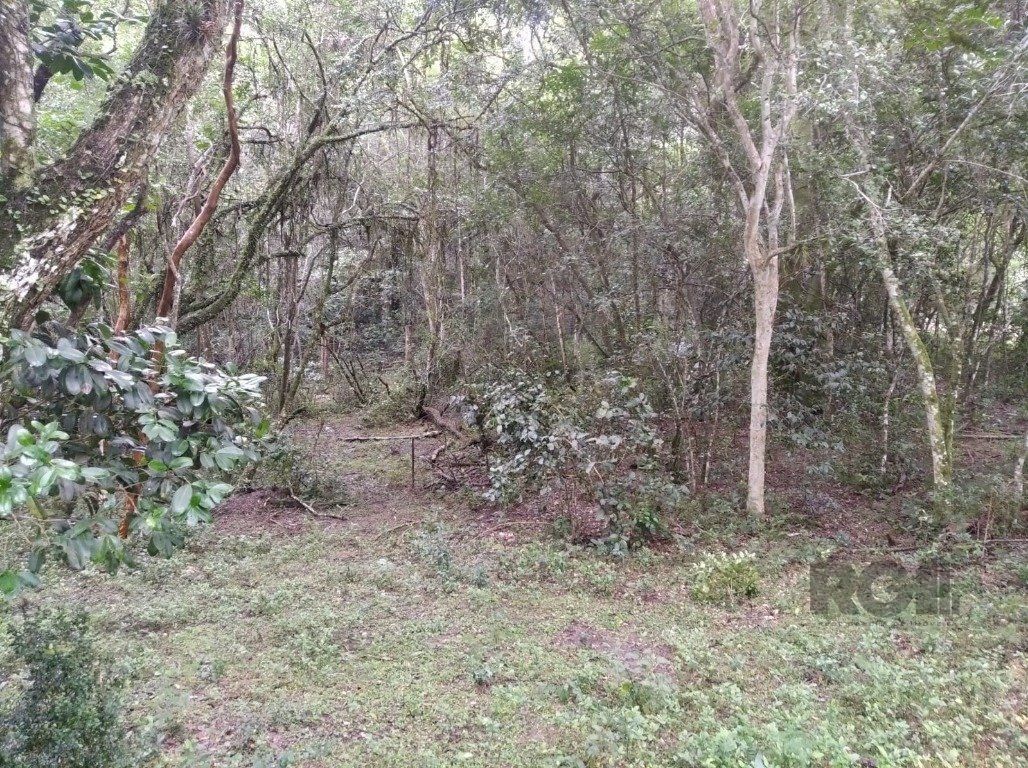 Terreno, 2500 m² - Foto 3