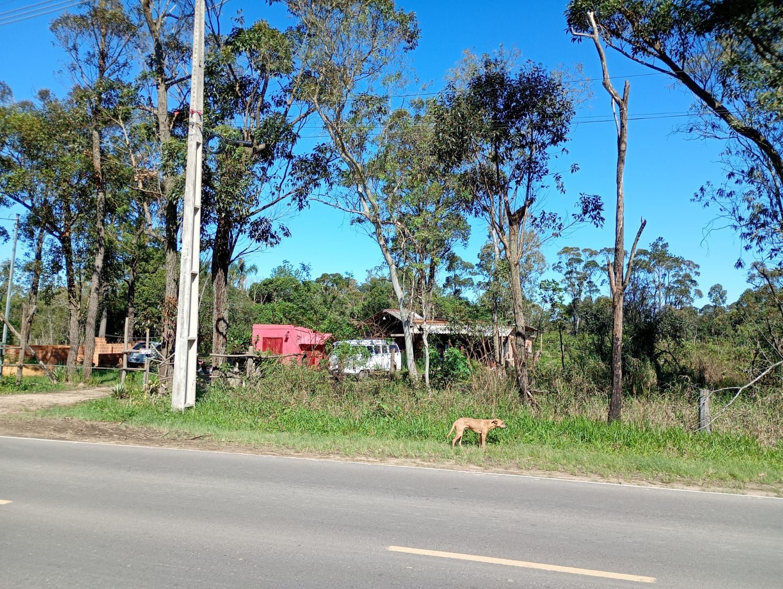 Terreno, à venda, São Caetano - Porto Alegre — foto 4