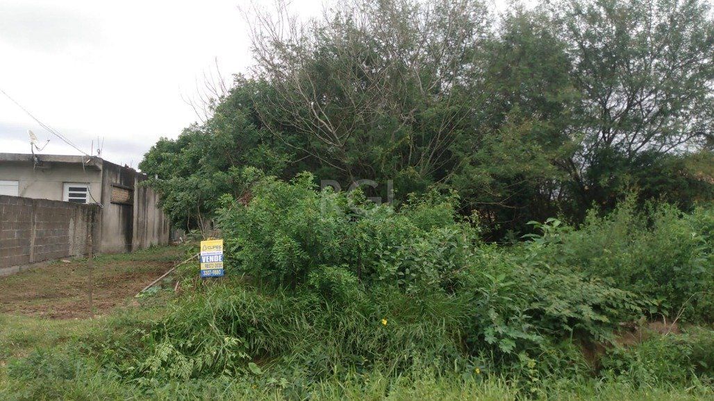 Terreno Bairro Lageado