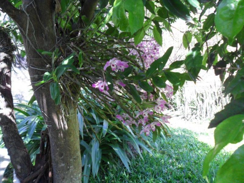 Casa, 3 quartos, 348 m² - Foto 31