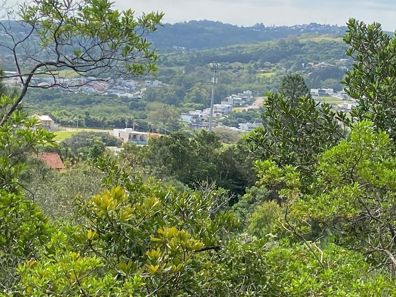 Terreno, 2450 m² - Foto 6