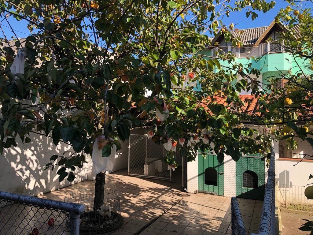 Casa, 4 quartos, 257 m² - Foto 11