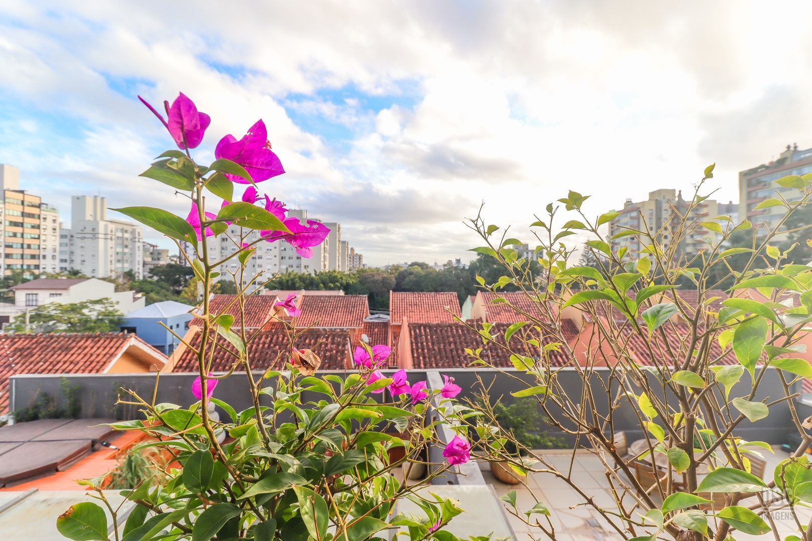 Apartamento à venda com 3 quartos, 83m² - Foto 5
