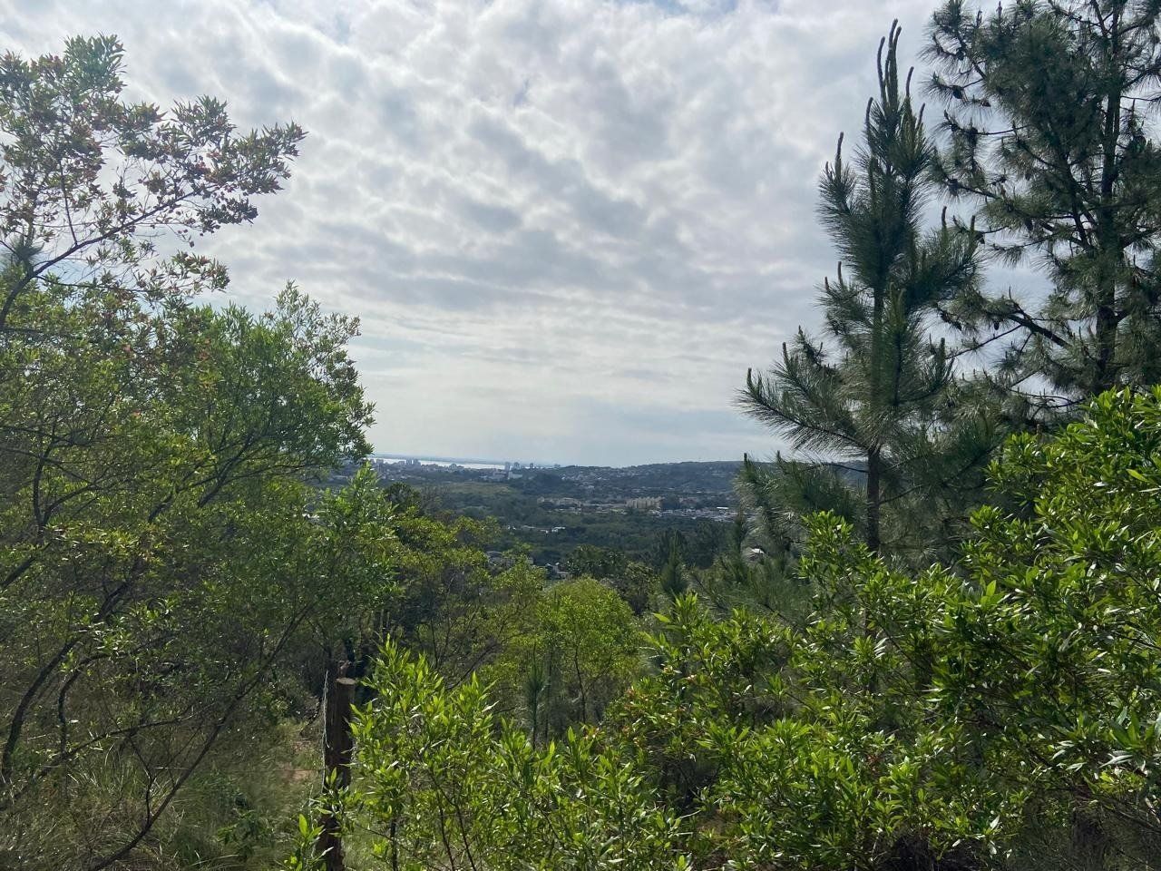 Terreno, 2450 m² - Foto 10