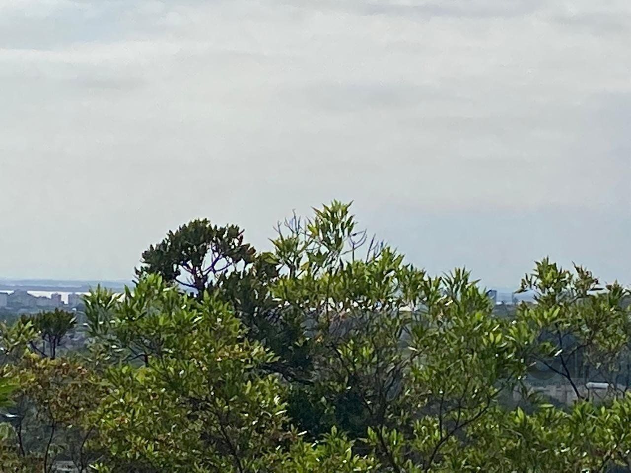 Terreno, 2450 m² - Foto 8