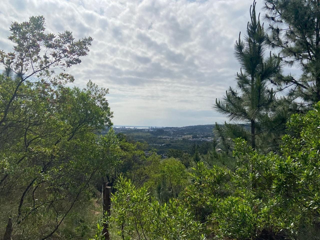 Terreno, 2450 m² - Foto 9