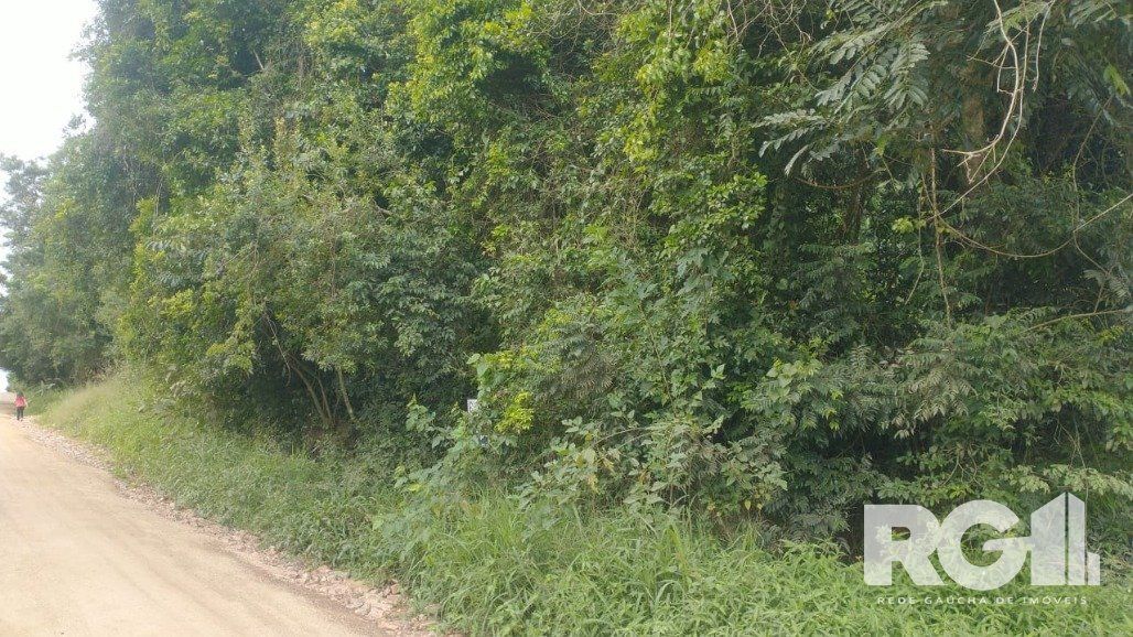 Terreno Bairro Fiuza