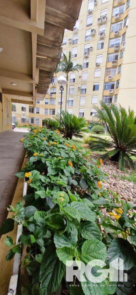 Apartamento à venda com 3 quartos, 80m² - Foto 27