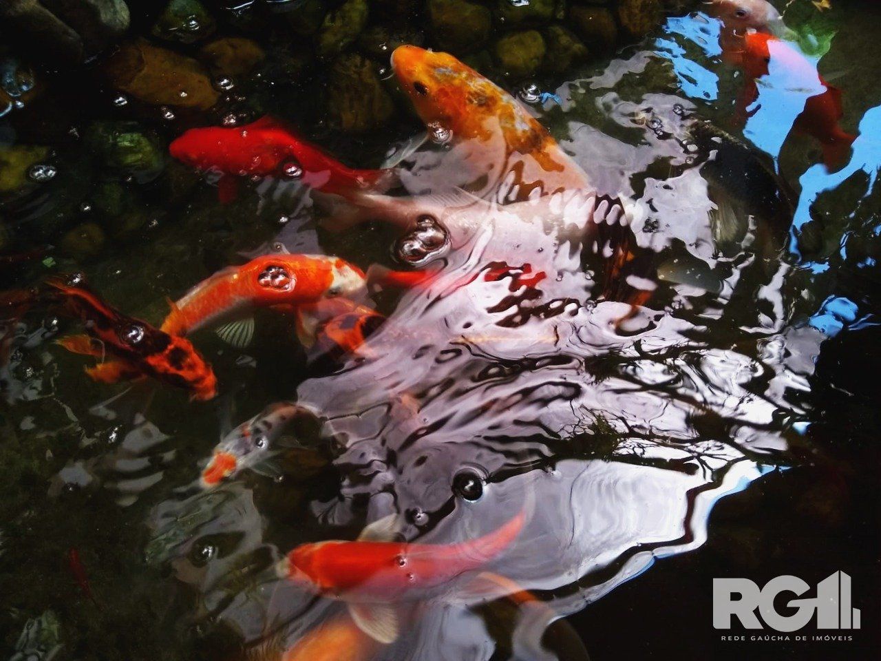 Casa, 3 quartos, 330 m² - Foto 5