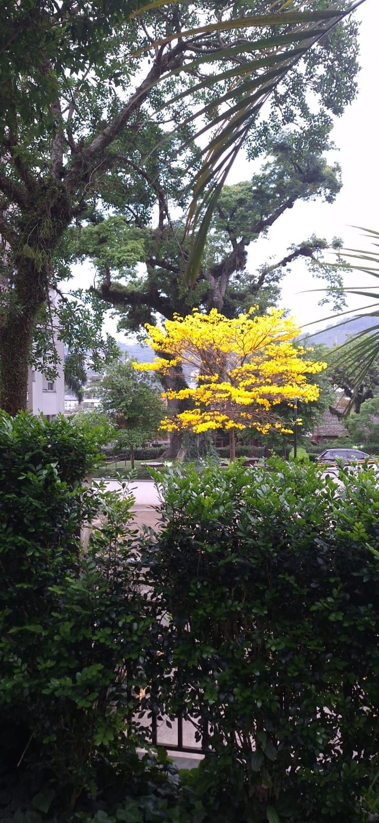 Apartamento, 2 quartos, 59 m² - Foto 24