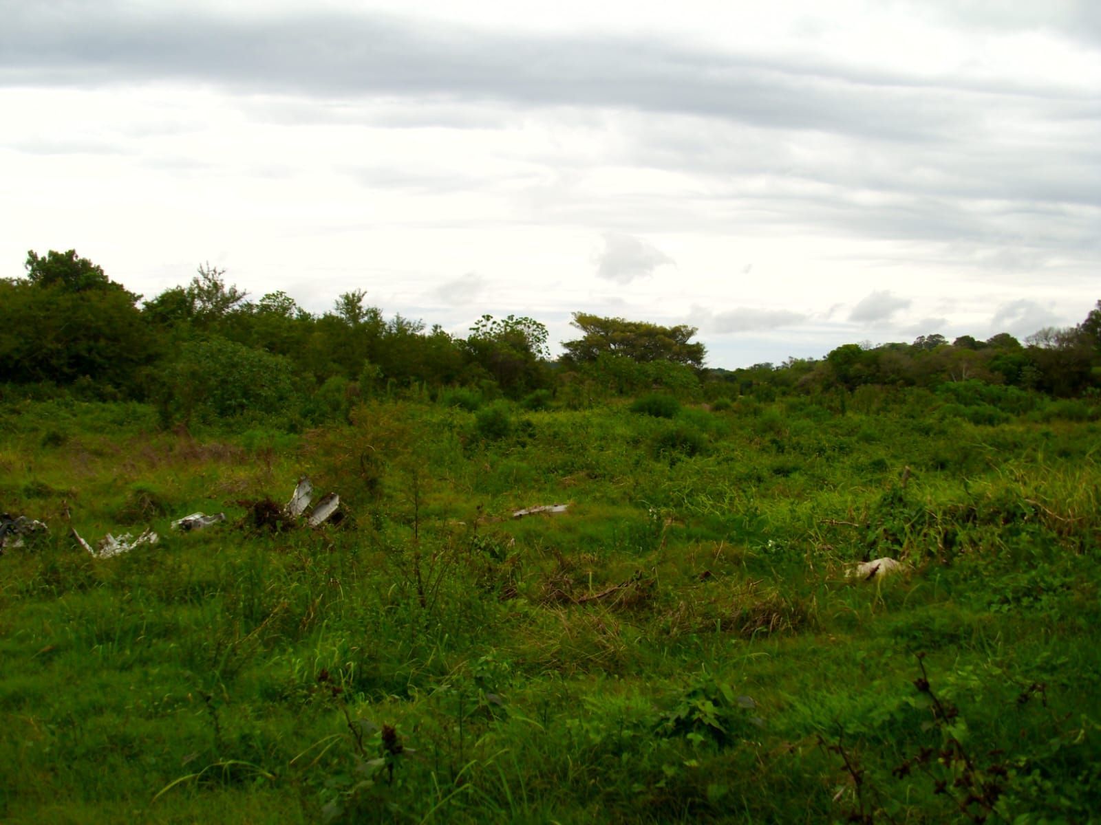 Chácara, 1 hectares - Foto 1