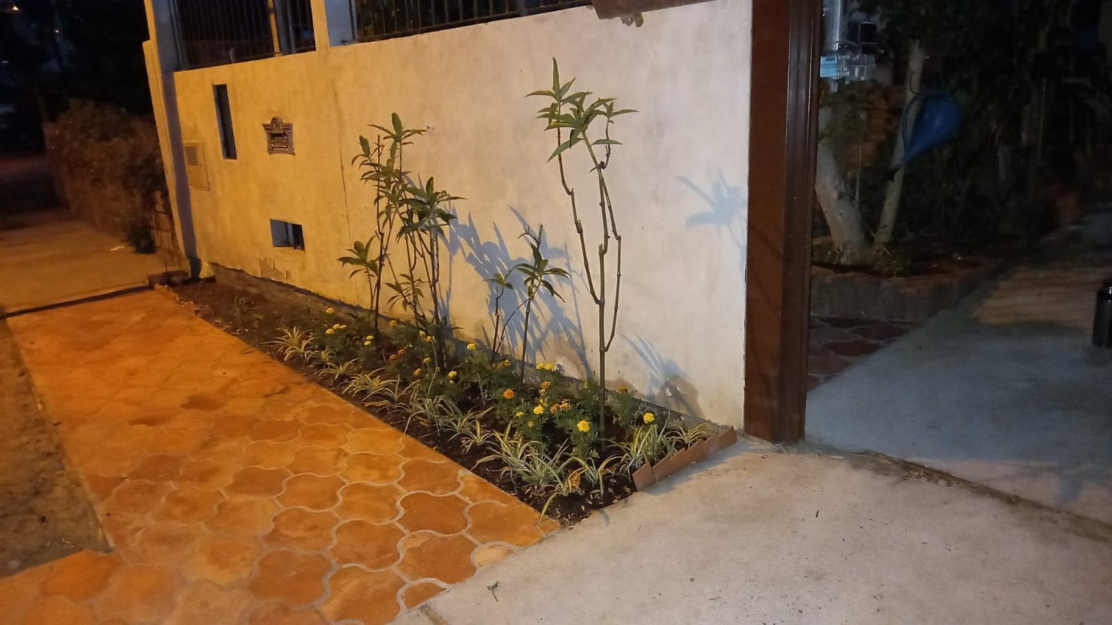 Terreno, 300 m² - Foto 4