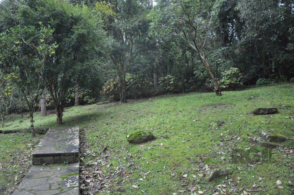 Chácara à venda com 3 quartos, 156m² - Foto 9