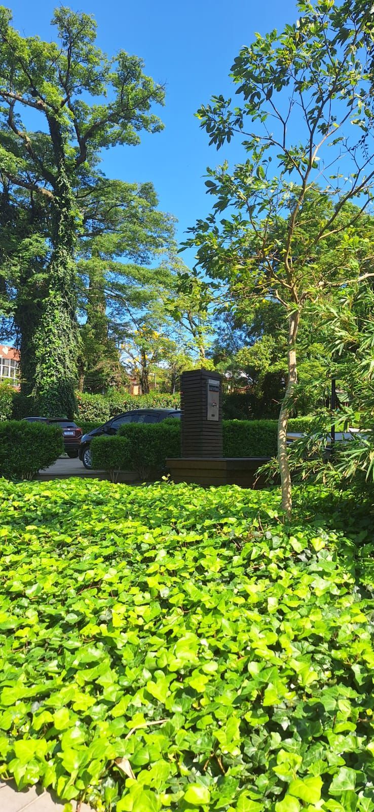 Apartamento, 2 quartos, 59 m² - Foto 25