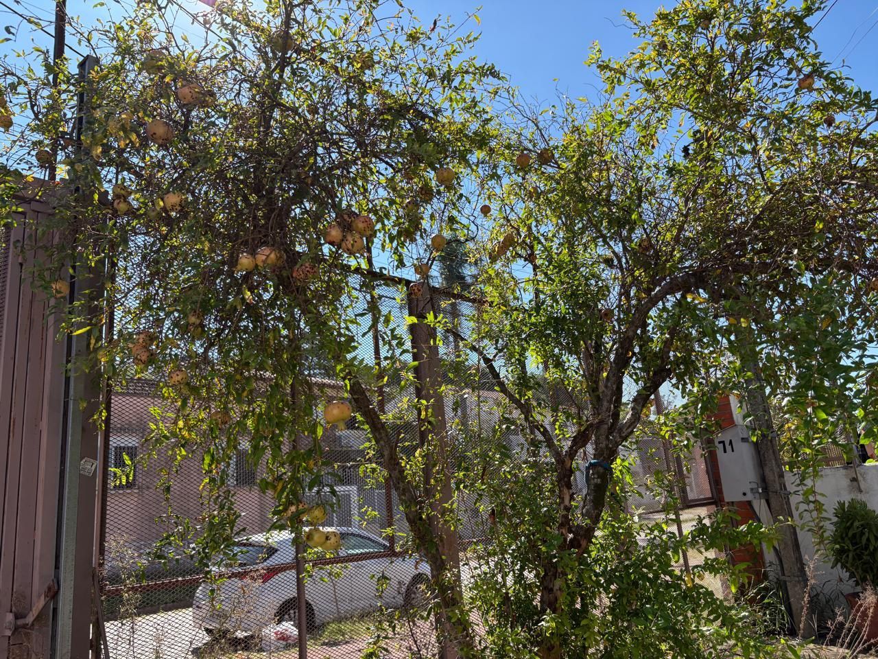 Casa, 2 quartos, 242 m² - Foto 31