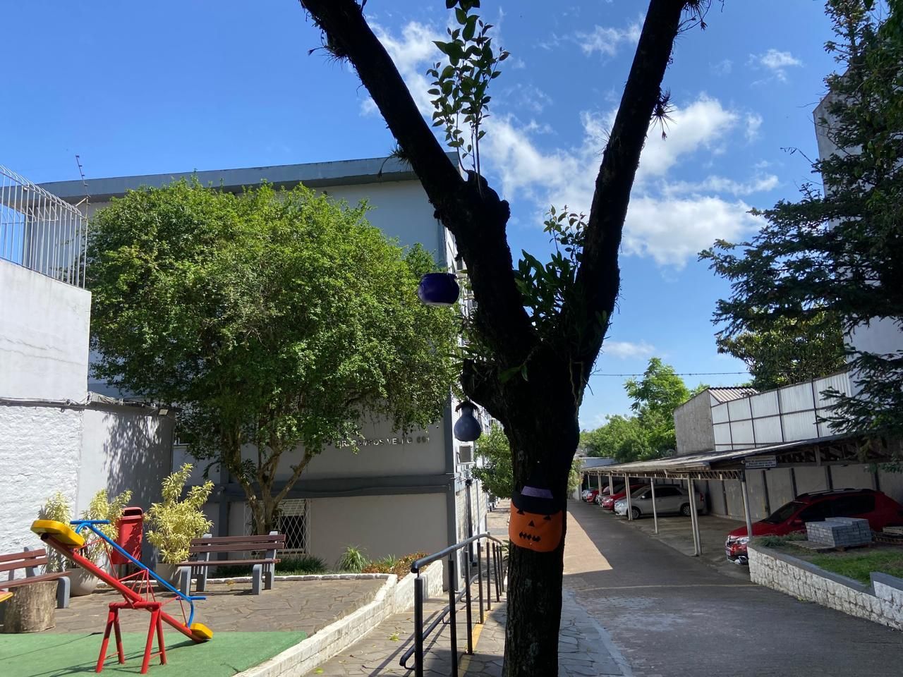 Apartamento, 3 quartos, 74 m² - Foto 64