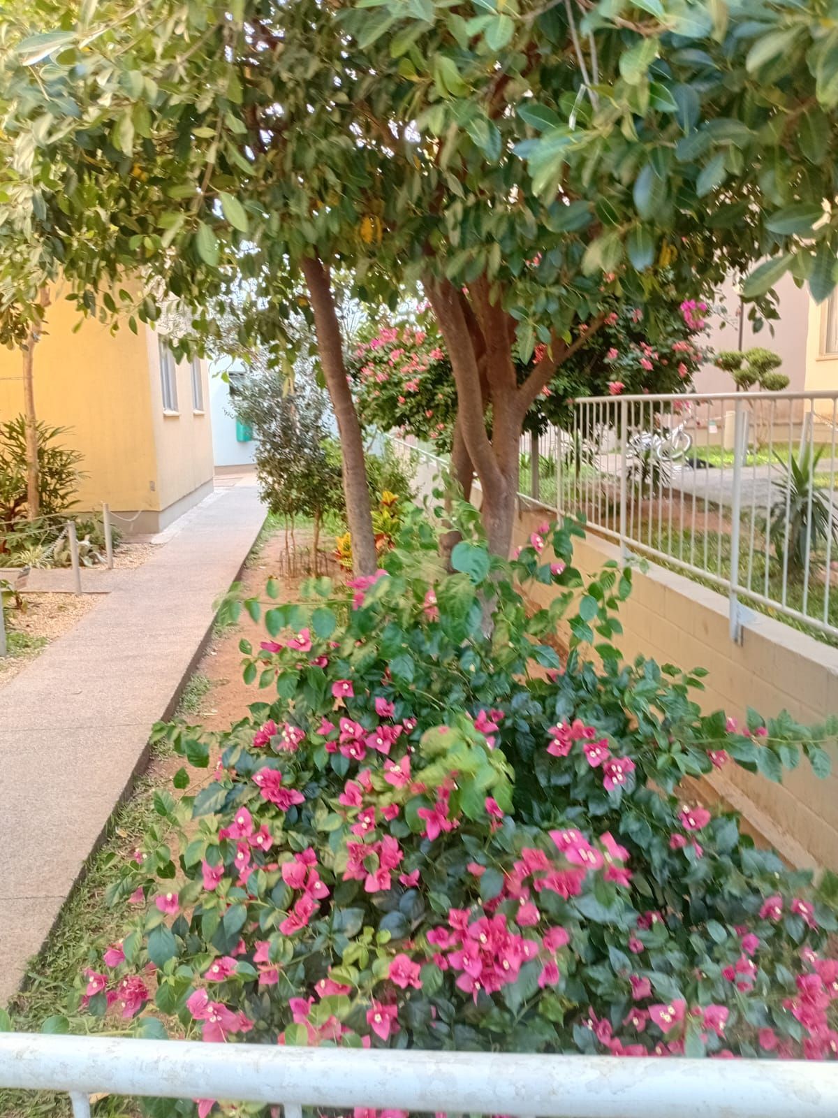 Apartamento, 2 quartos, 43 m² - Foto 20