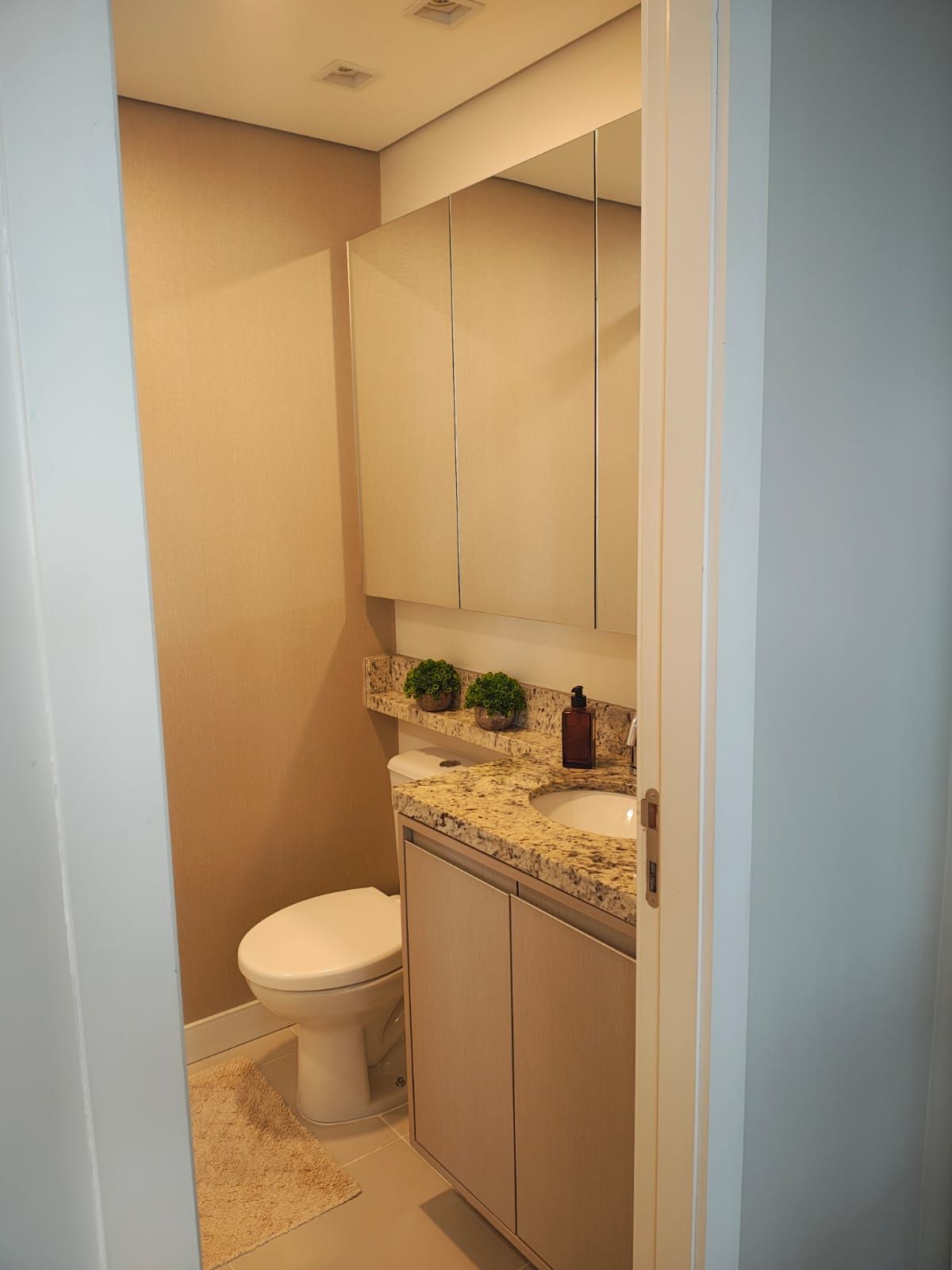 Apartamento, 3 quartos, 75 m² - Foto 33