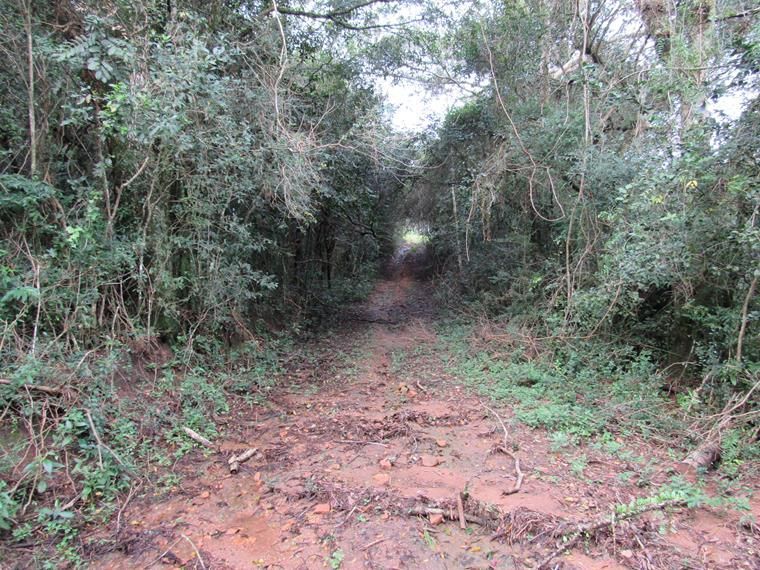 Chácara, 5 hectares - Foto 18