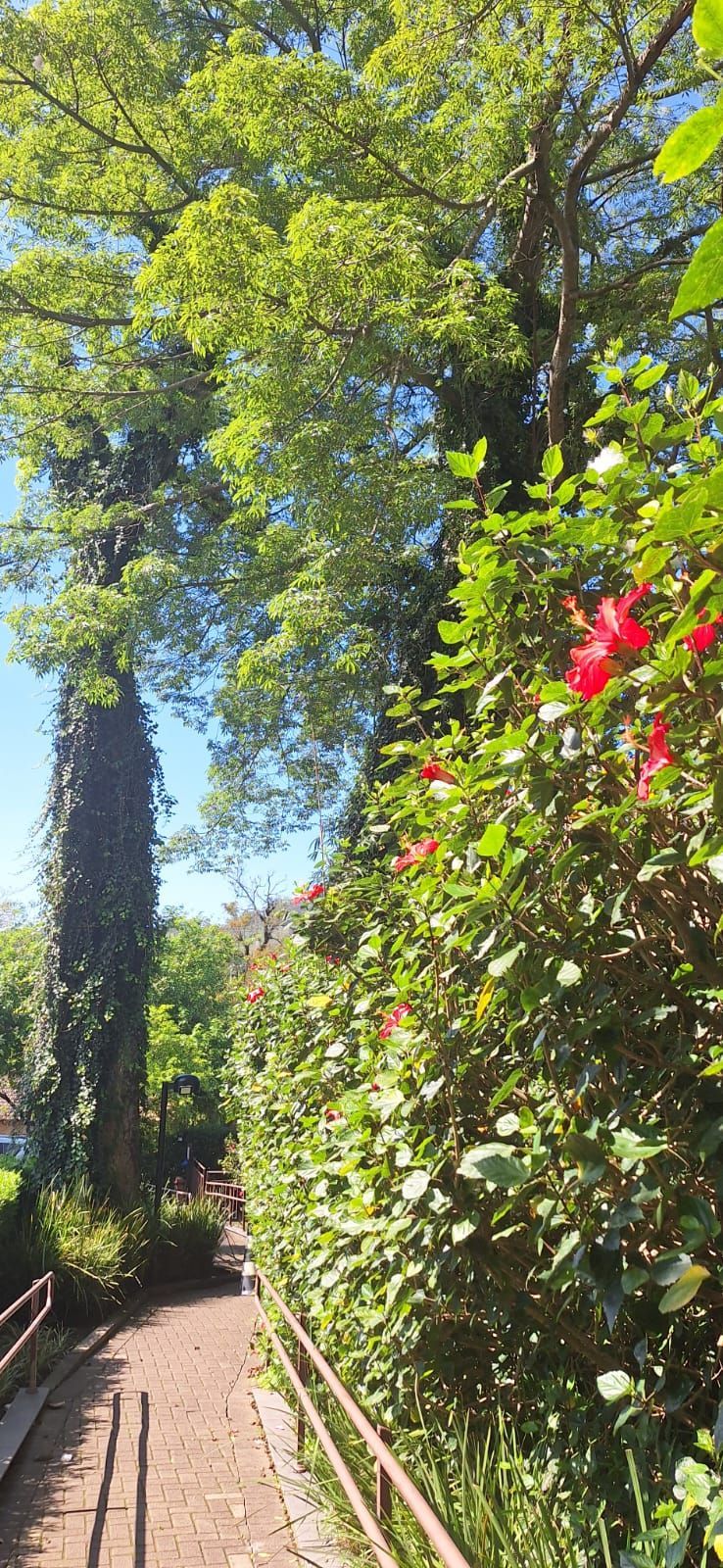 Apartamento, 2 quartos, 59 m² - Foto 22