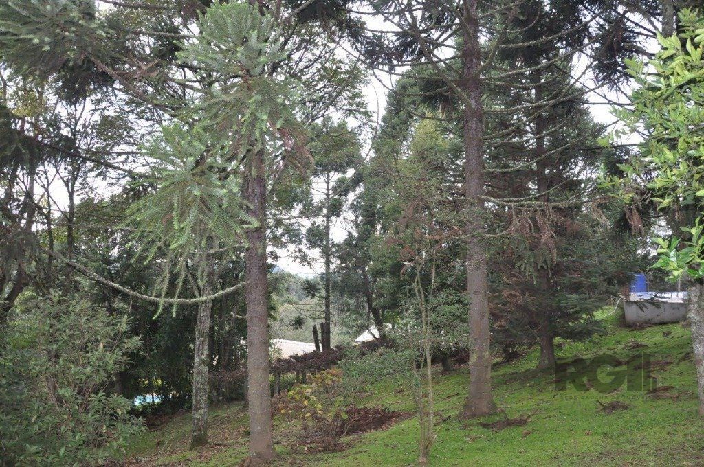 Chácara à venda com 3 quartos, 156m² - Foto 8