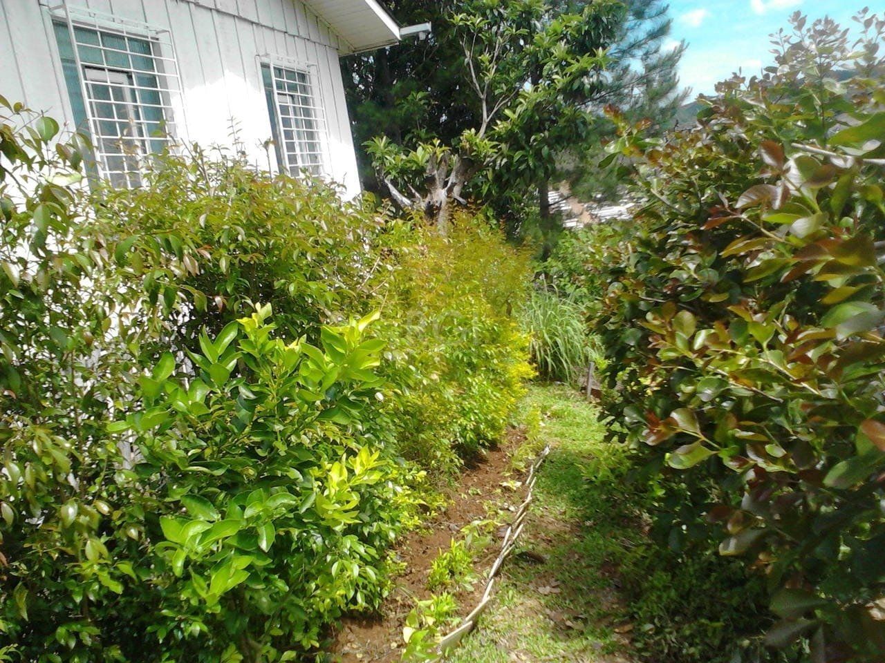 Casa, 2 quartos, 2337 m² - Foto 31