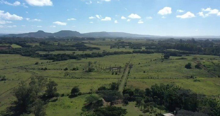 Terreno, 10 hectares - Foto 4