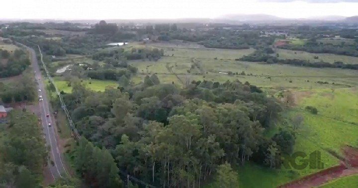 Terreno, 10 hectares - Foto 8