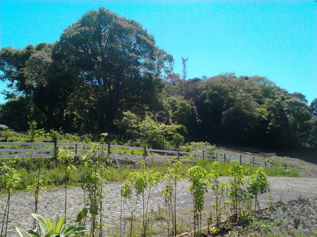 Casa, 2 quartos, 2337 m² - Foto 10