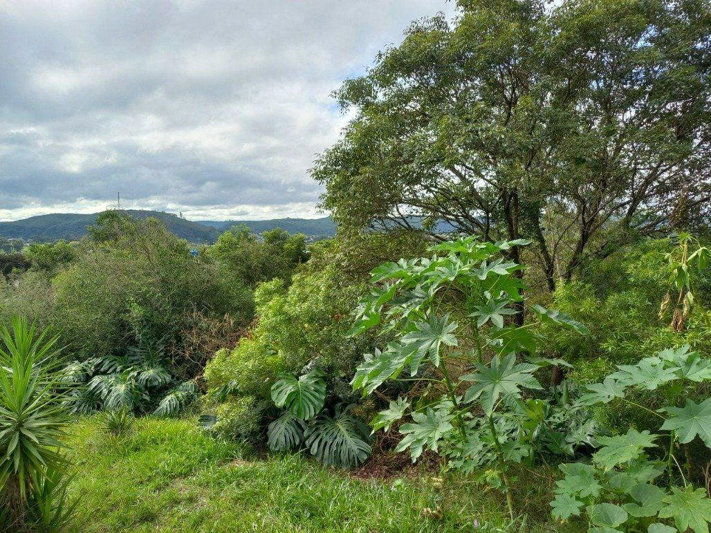 Terreno, 313 m² - Foto 3