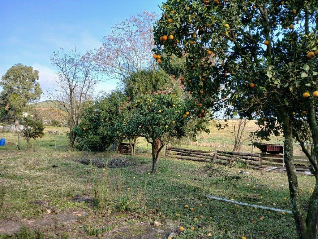 Chácara, 5 quartos, 2 hectares - Foto 20