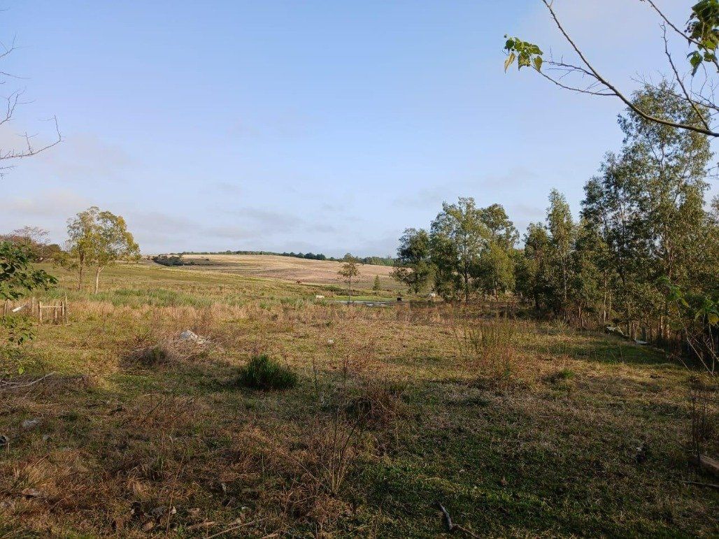 Chácara, 5 quartos, 2 hectares - Foto 18