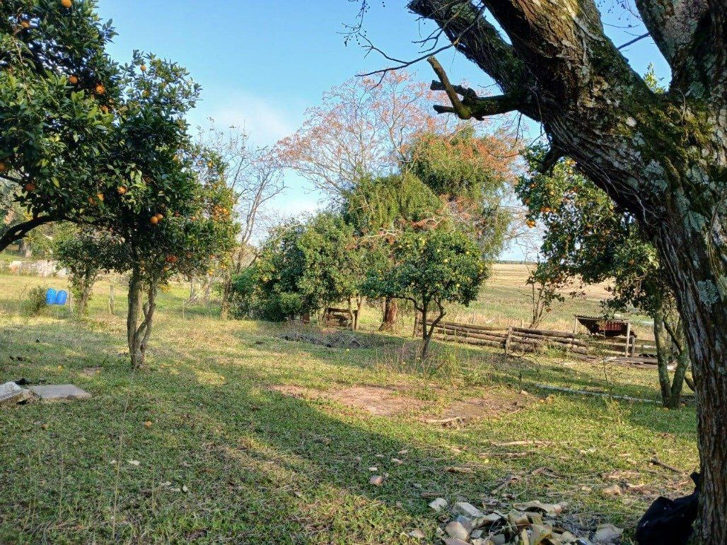 Chácara, 5 quartos, 2 hectares - Foto 22